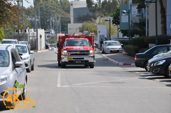 tamren asaf harof3e (16).jpg